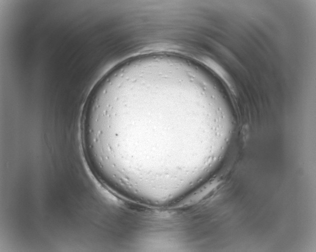 X0000068261055200605121815