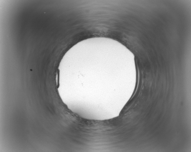 X0000068261057200605121814