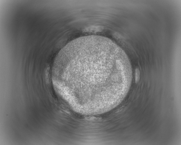 X0000068261059200605121814