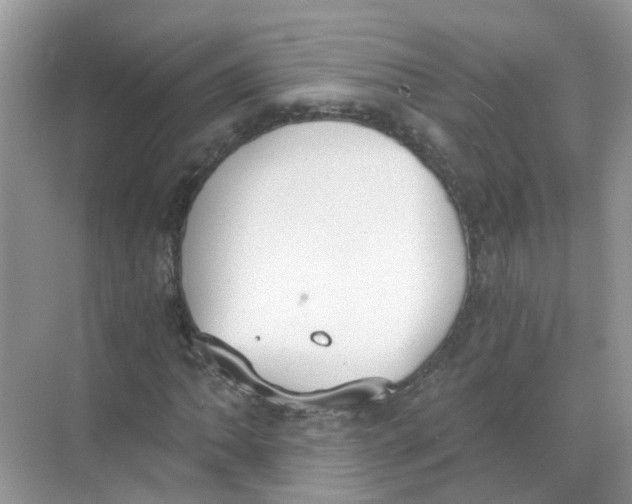 X0000068261062200605121814