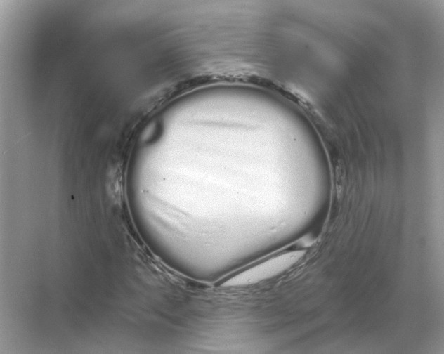 X0000068261063200605121814