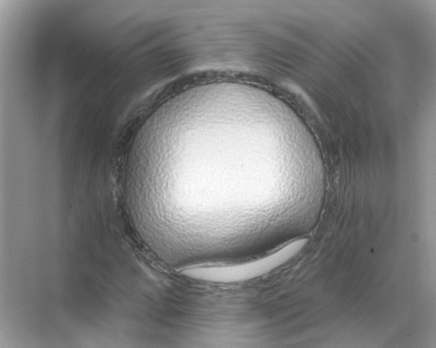 X0000068261064200605121814