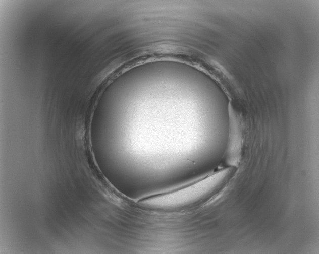 X0000068261065200605121814