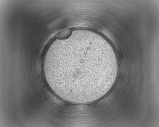 X0000068261067200605121814