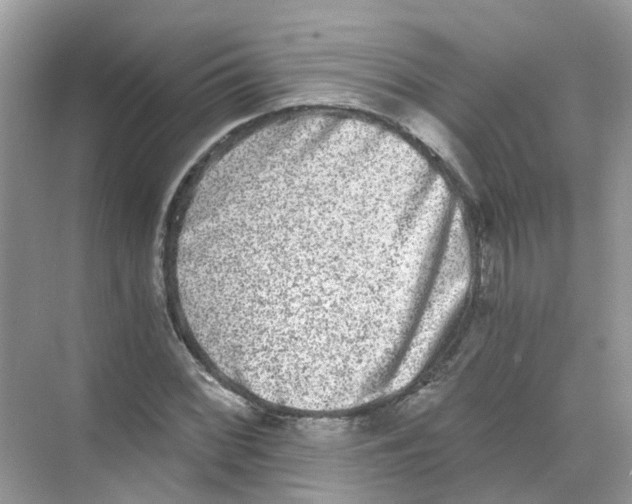 X0000068261068200605121814