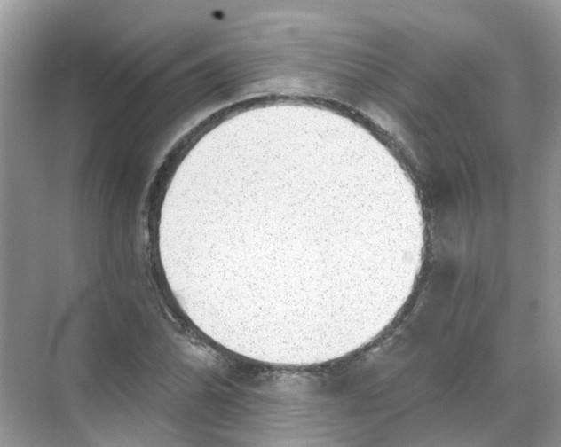 X0000068261070200605121814