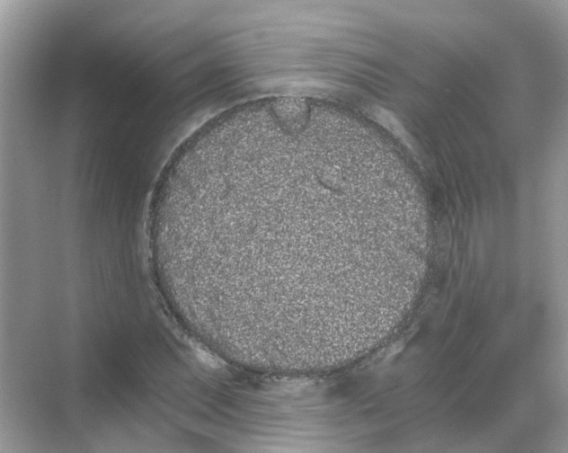 X0000068261071200605121814