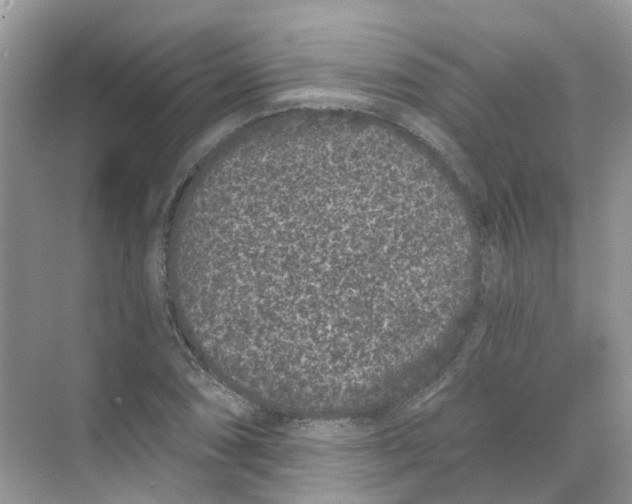 X0000068261074200605121814