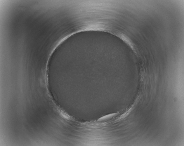 X0000068261077200605121814