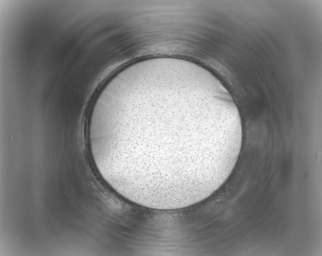 X0000068261078200605121814