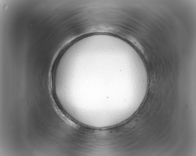 X0000068261080200605121814