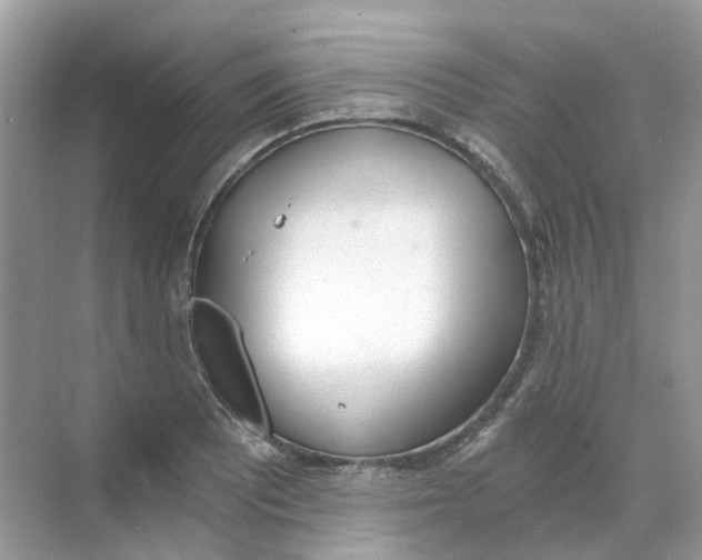 X0000068261081200605121814