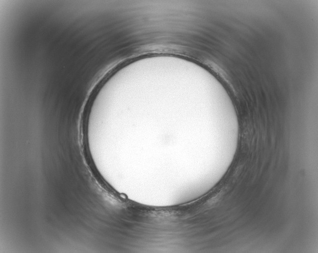 X0000068261082200605121814