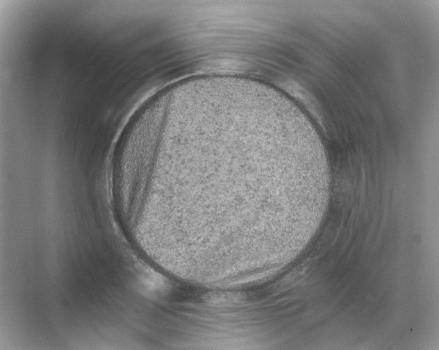 X0000068261083200605121814