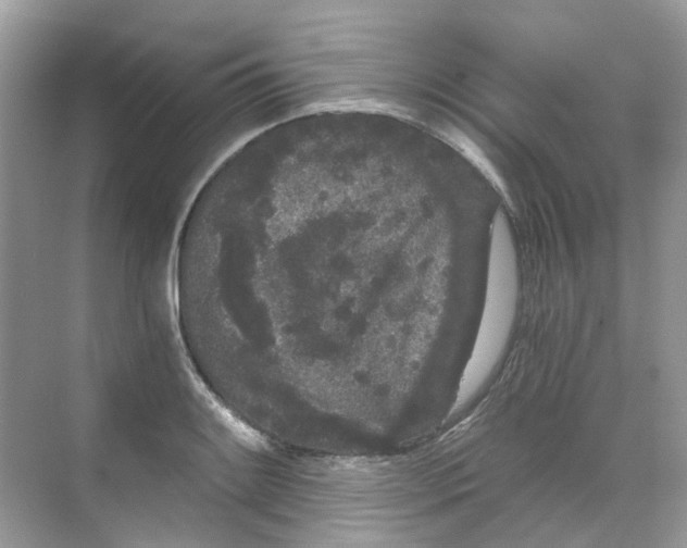 X0000068261084200605121814