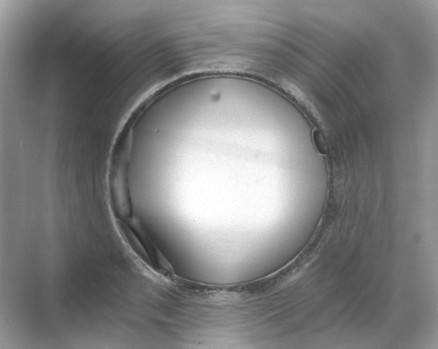 X0000068261085200605121814