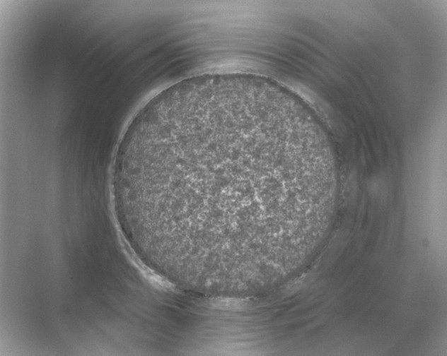 X0000068261086200605121814