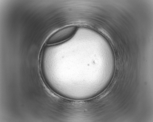 X0000068261087200605121814