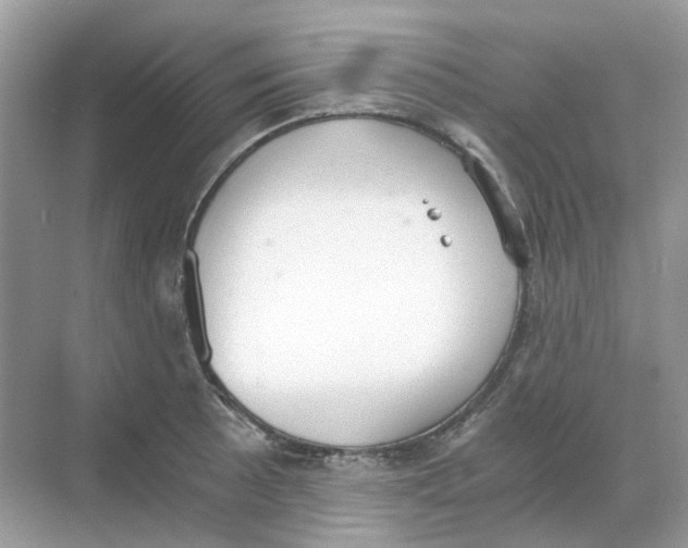 X0000068261089200605121814