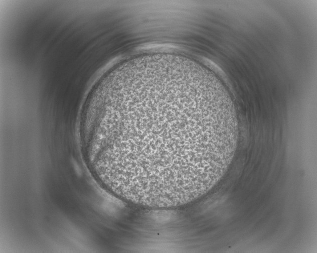 X0000068261090200605121814