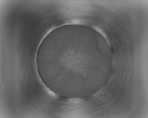 X0000068261091200605121814