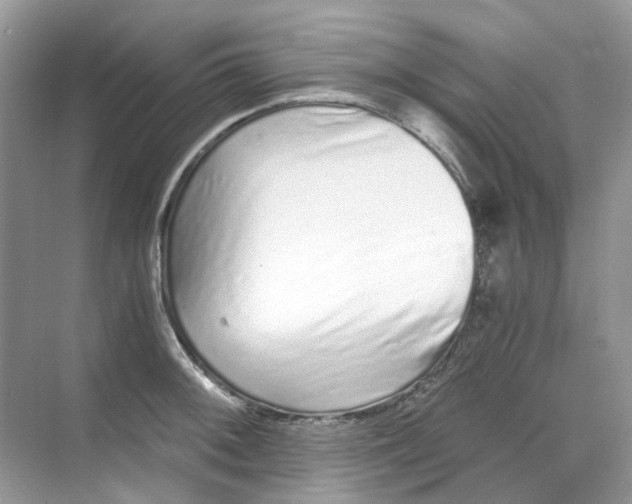 X0000068261092200605121814