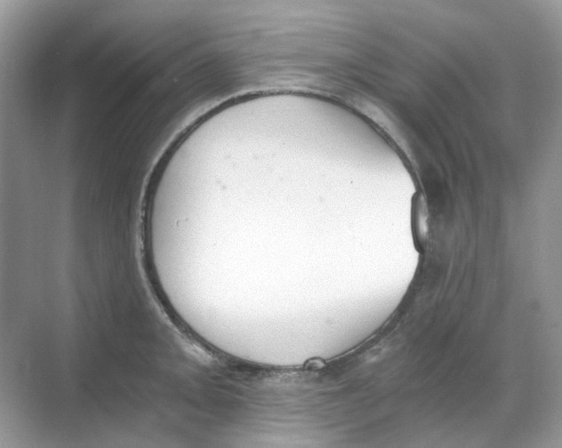 X0000068261093200605121814