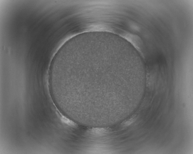 X0000068261094200605121814