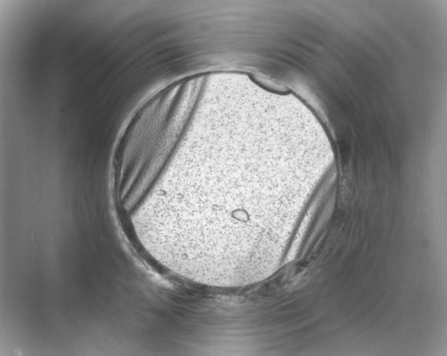 X0000068261096200605121814