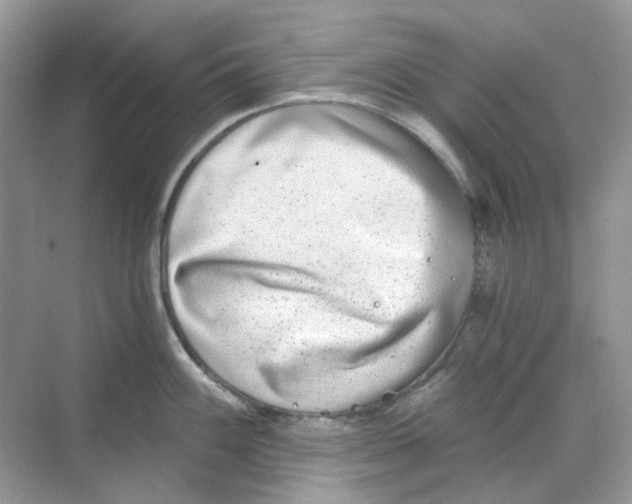 X0000068261100200605121814