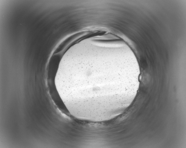 X0000068261102200605121813