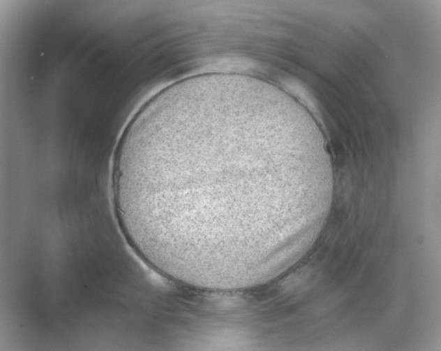 X0000068261103200605121813