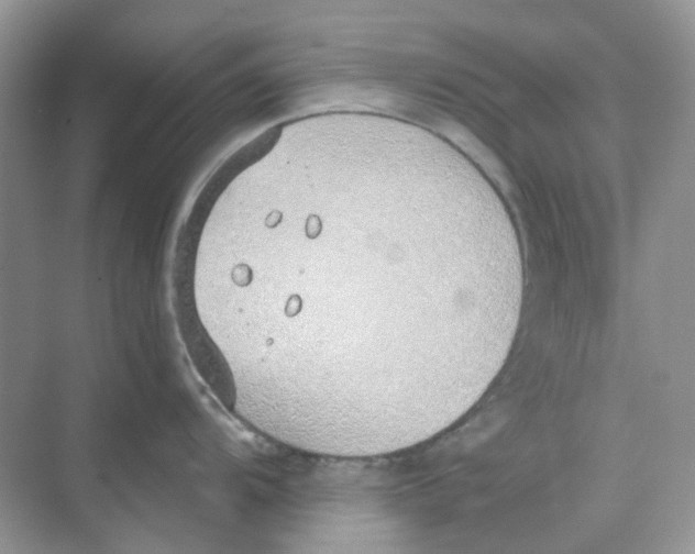 X0000068261104200605121813