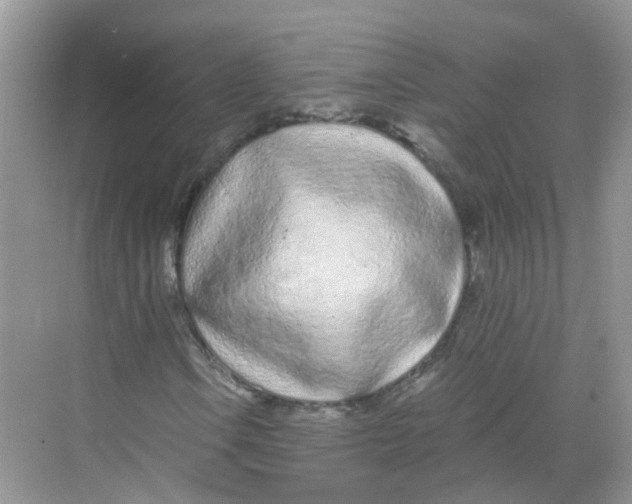 X0000068261106200605121813