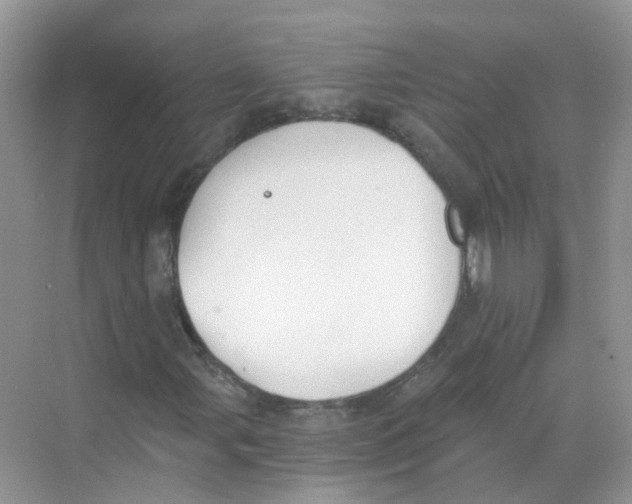 X0000068261107200605121813