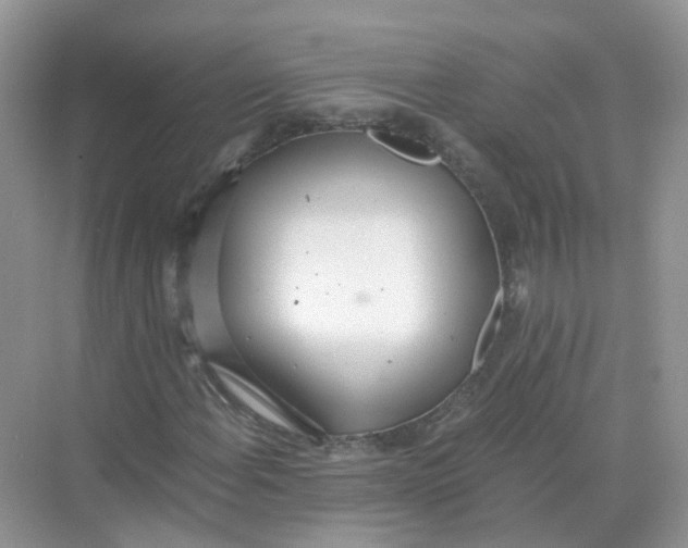 X0000068261108200605121813