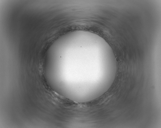 X0000068261109200605121813