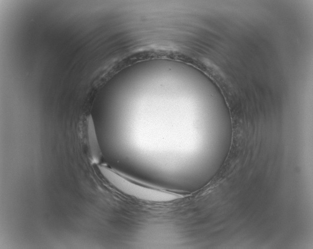 X0000068261110200605121813