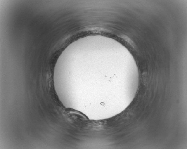 X0000068261111200605121813