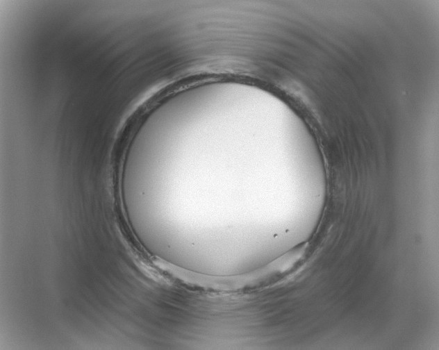 X0000068261114200605121813