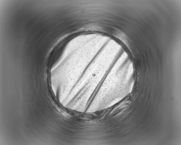 X0000068261115200605121813