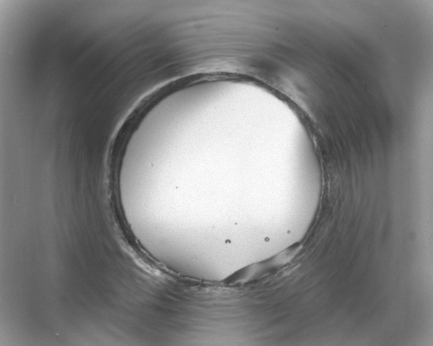 X0000068261116200605121813