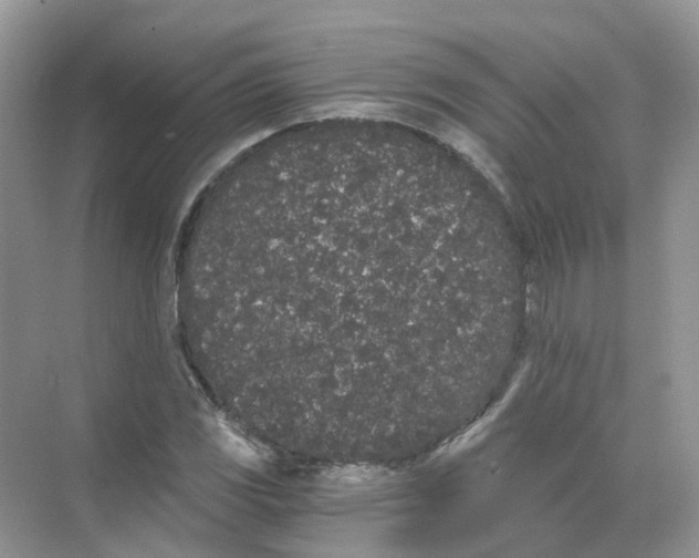 X0000068261117200605121813