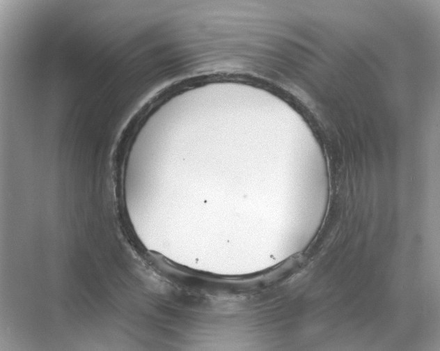 X0000068261118200605121813