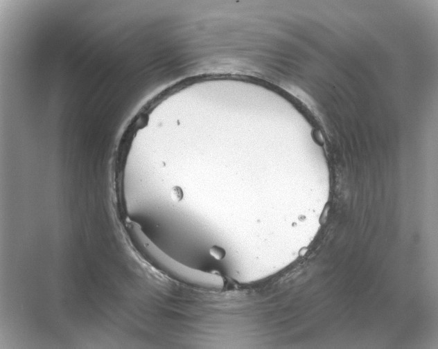 X0000068261120200605121813