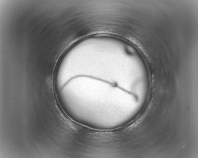 X0000068261121200605121813