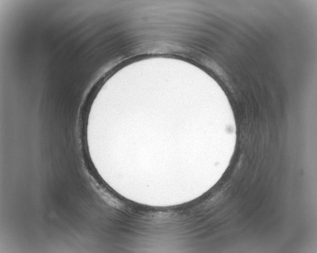 X0000068261122200605121813