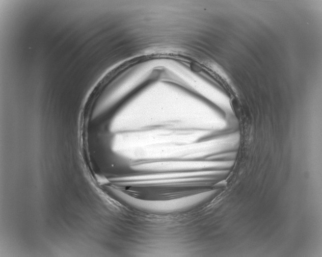 X0000068261124200605121813