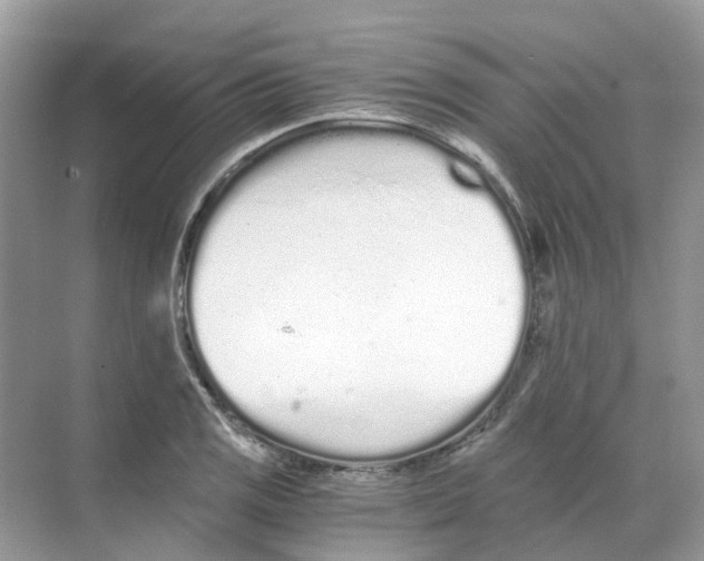 X0000068261125200605121813