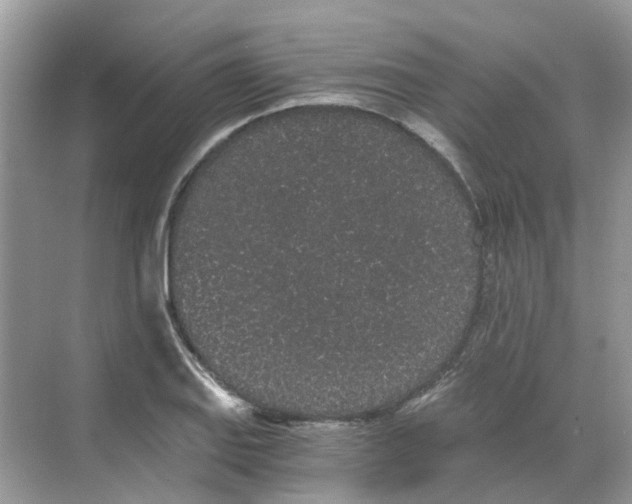 X0000068261127200605121813